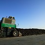 FOT.PIOTRWITTMAN.PL